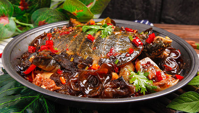 麻辣甲魚培訓(xùn)：熱辣美食的入門課程(圖1)