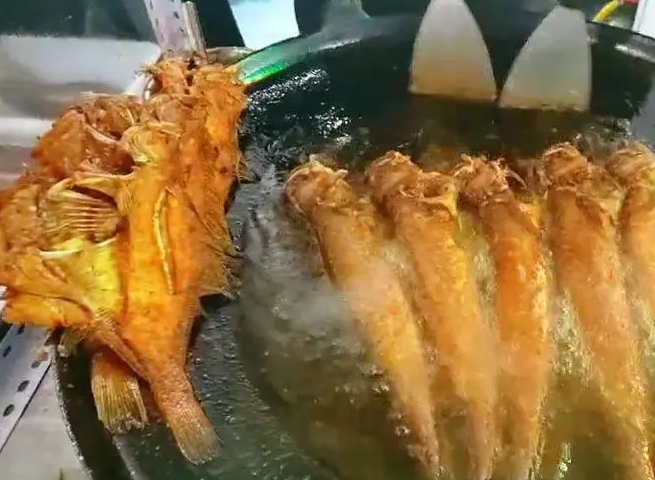 香煎深海魚培訓哪家好？學費多少錢(圖1)
