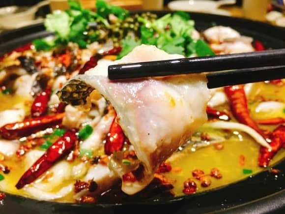 火鍋魚大揭秘：這幾種魚讓你的火鍋店生意火爆！(圖1)